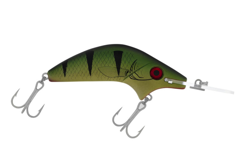 R16 SWAMP TIGER