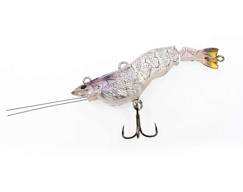 JELLY PRAWN