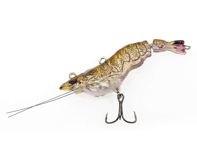 NATIVE PRAWN