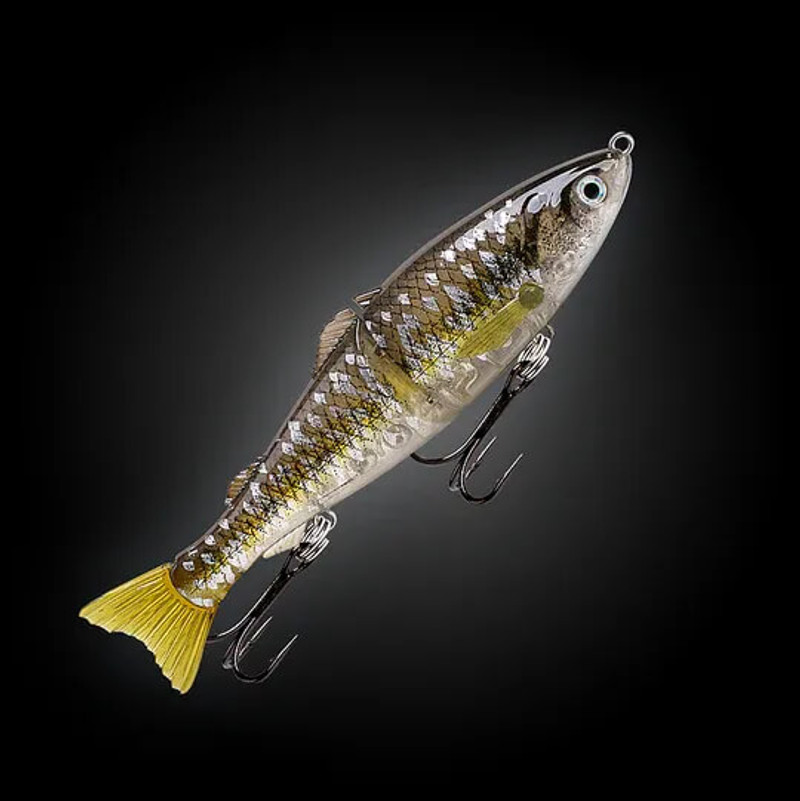 SPOTTED HERRING