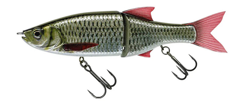 LIVE CARP