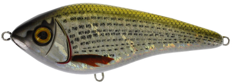 SHINY MULLET