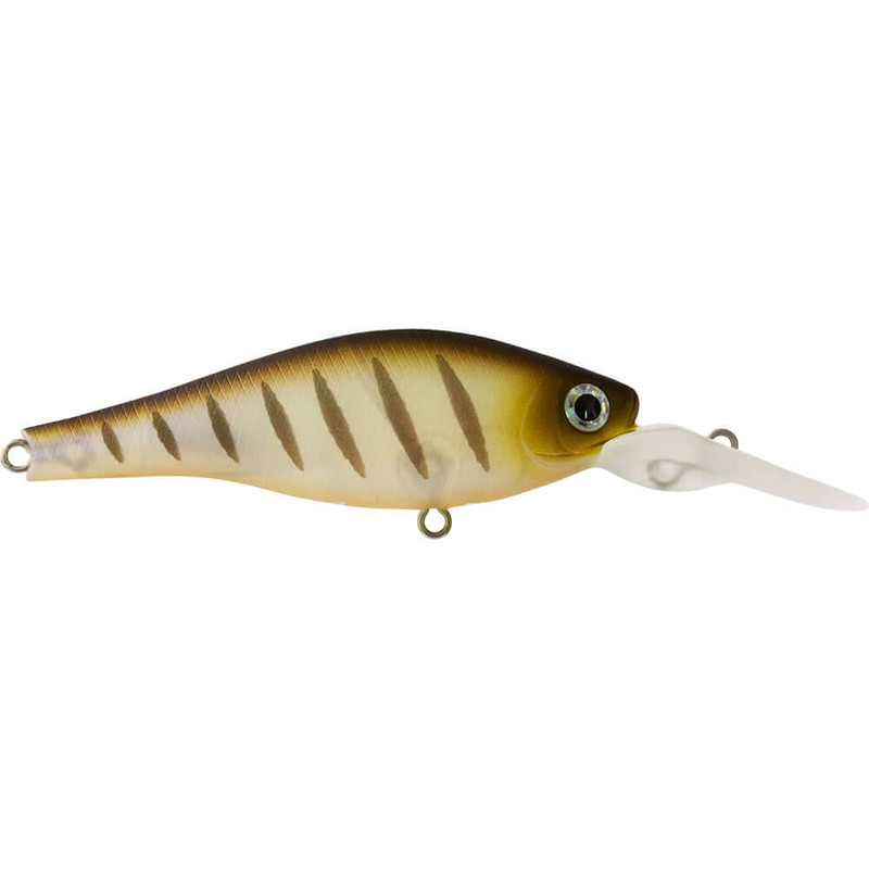 PRAWN TIGER