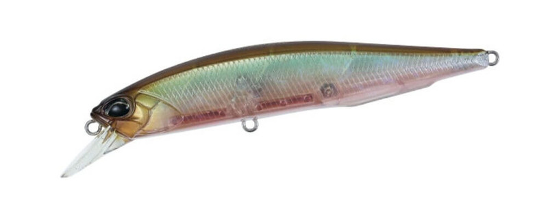 GHOST MINNOW