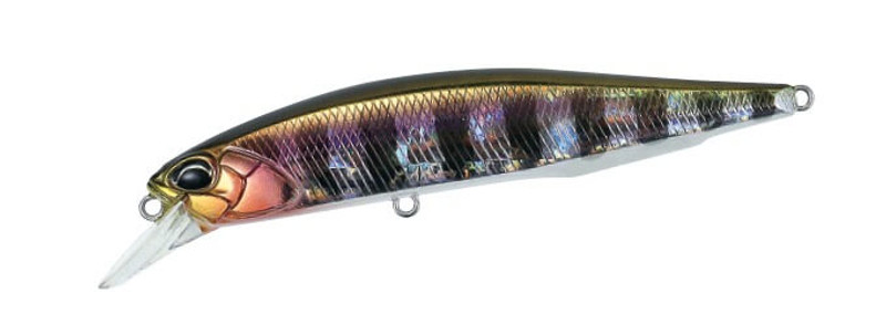 PRISM GILL