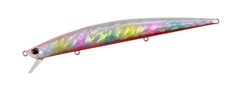 RAINBOW RB