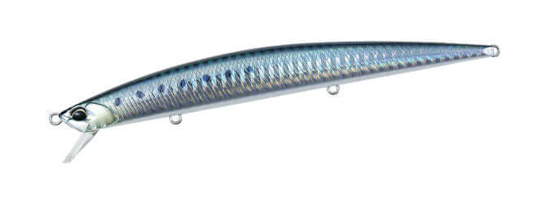 SARDINE