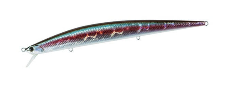 OCEAN BAIT