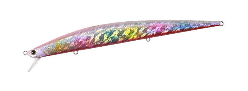 RAINBOW RB
