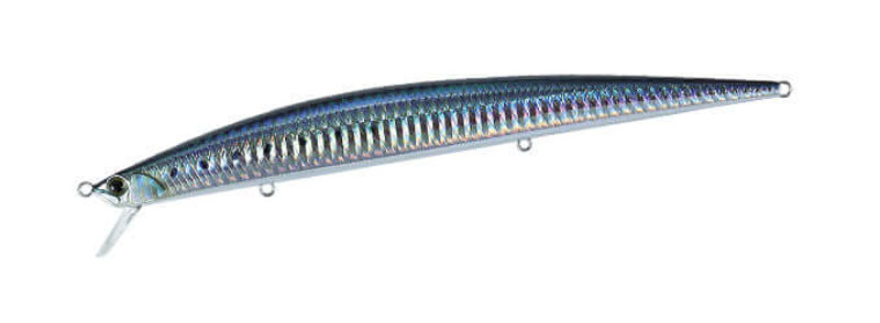 SARDINE