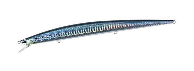 SARDINE