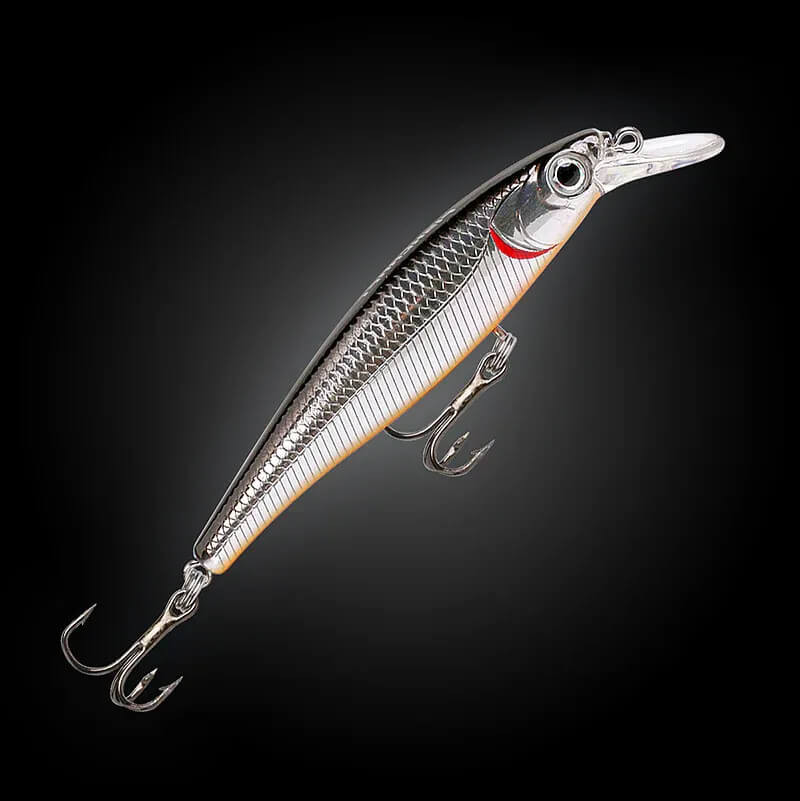 SILVER SHAD