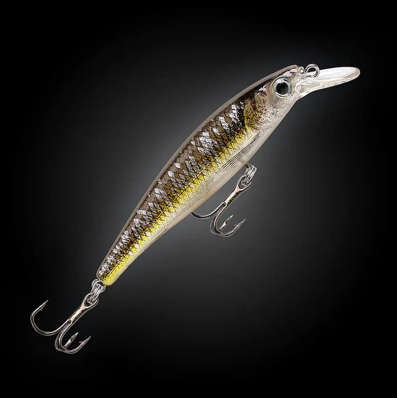 SPOTTED HERRING
