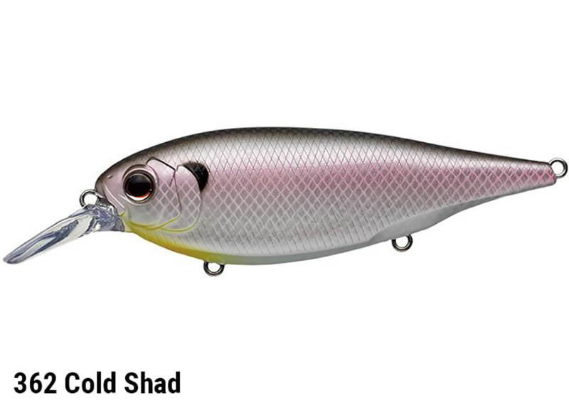 #362 COLD SHAD