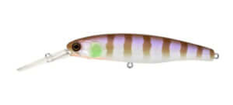 PURPLE GILL