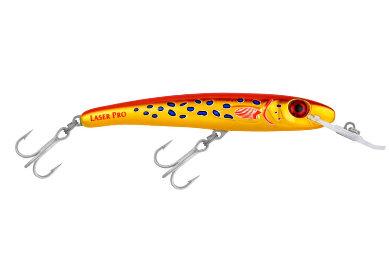 R9 CORAL TROUT