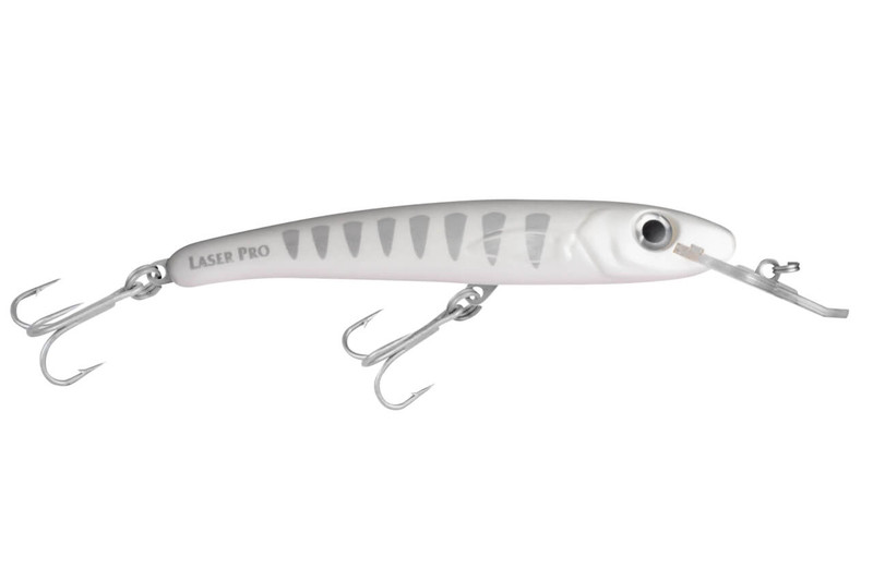 H91 SILVER SHADOW