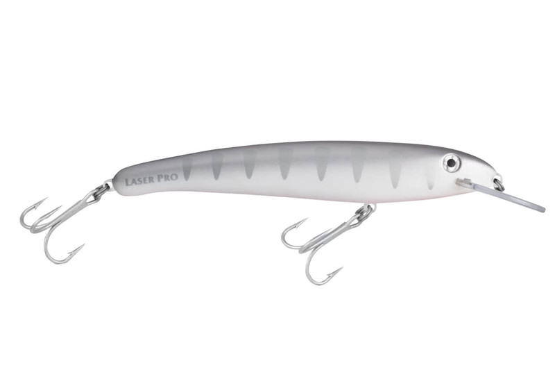 H91 SILVER SHADOW