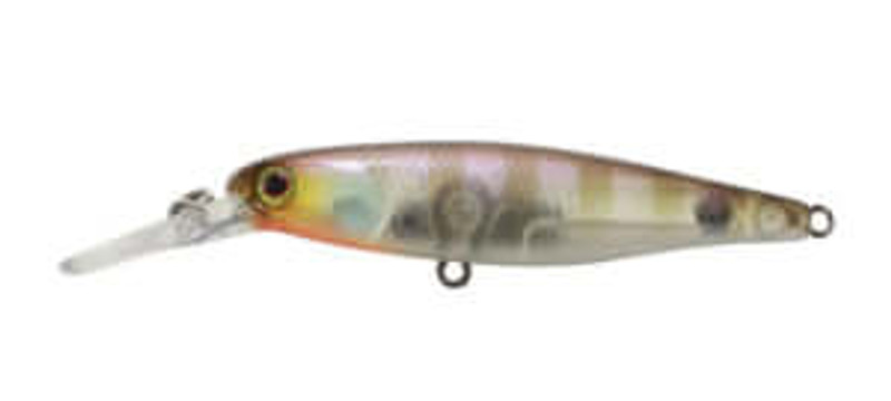 GHOST GILL