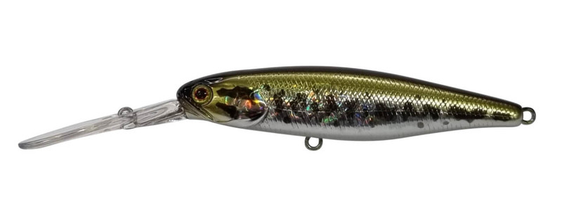 BABY BASS