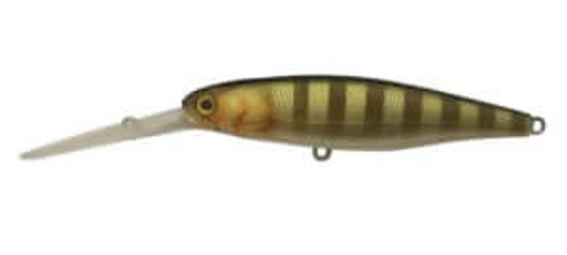 BROWN DOG GILL