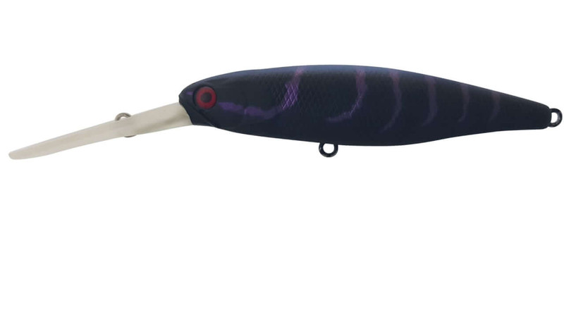 PURPLE SHRIMP