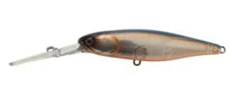 SARDINE