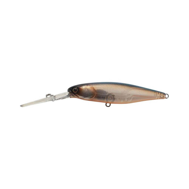 SARDINE
