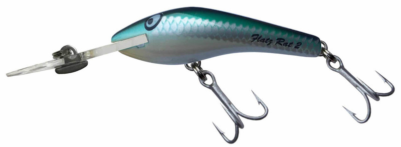 TEAL WARRIOR