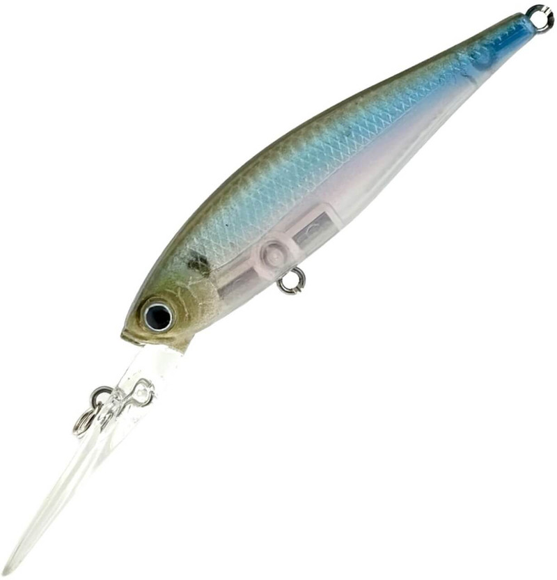 GHOST MINNOW