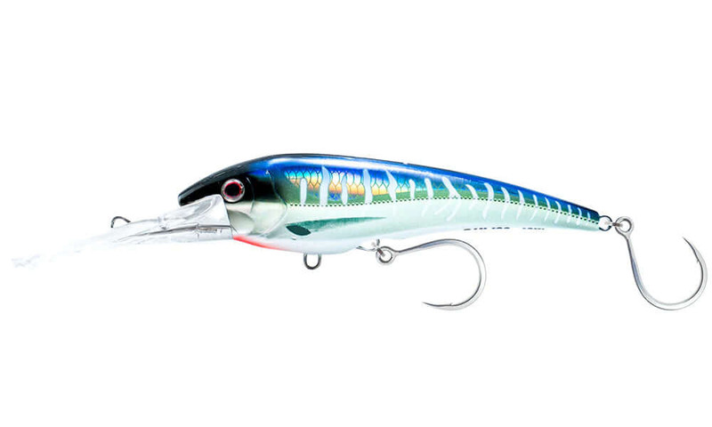 SPANISH MACKEREL