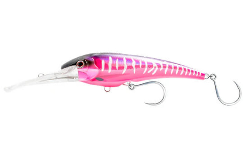 HOT PINK MACKEREL