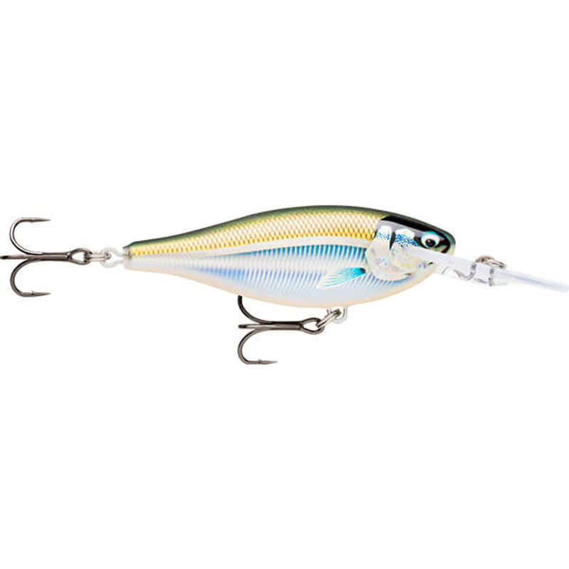 MANGROVE MINNOW