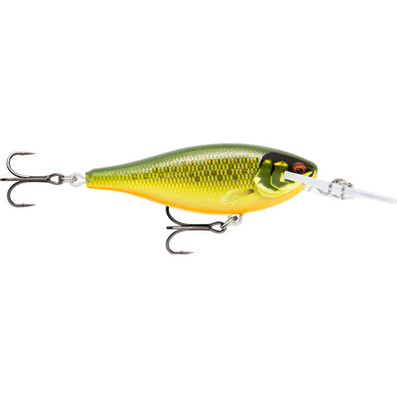 SCALED ROACH