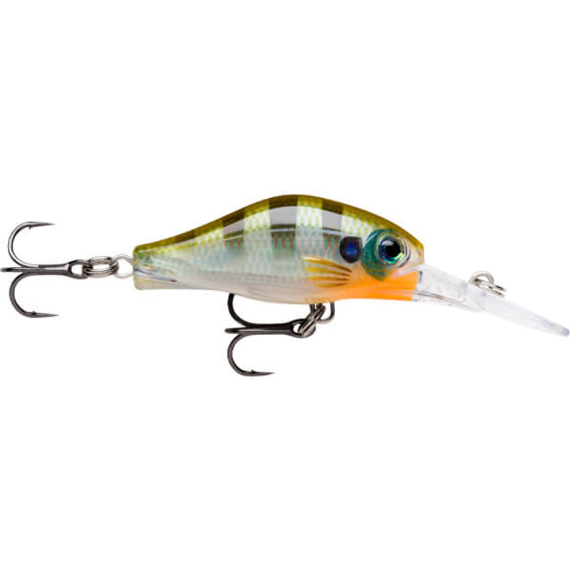 BLUEGILL