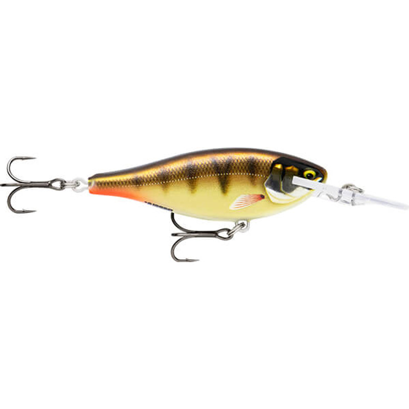 GLIDED COPPER ROACH
