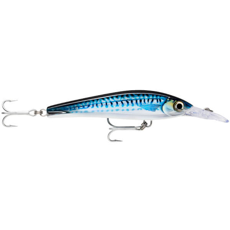 BLUE MACKEREL