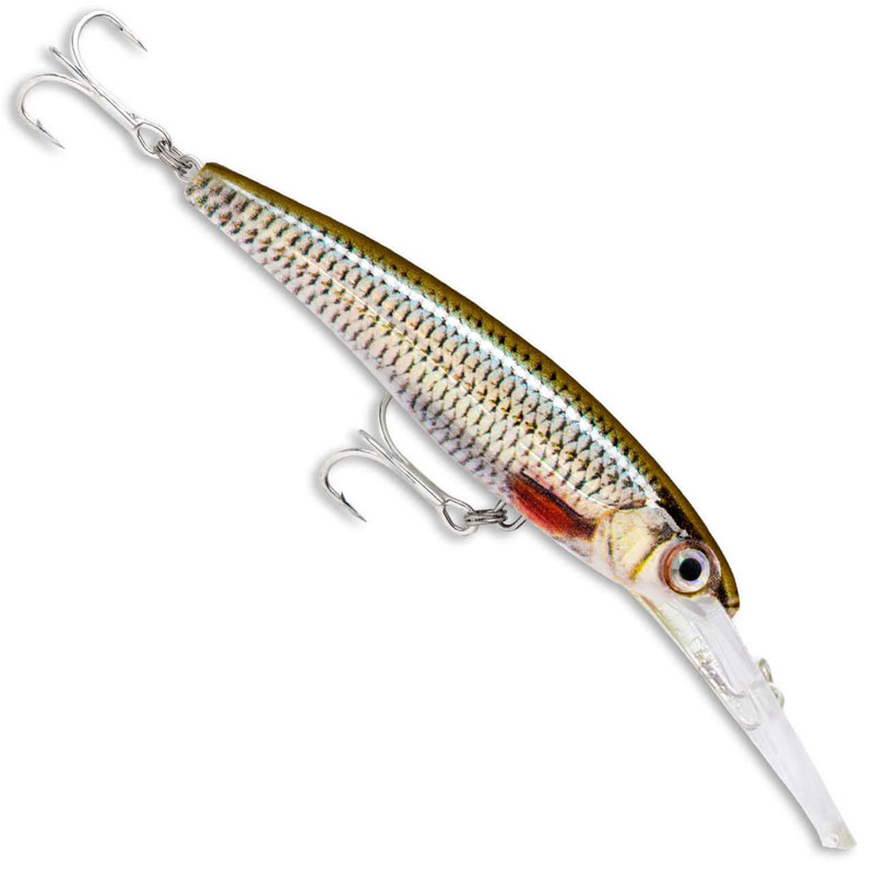 LIVE ROACH