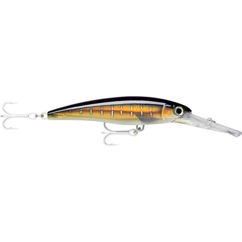 HD SAILFISH UV