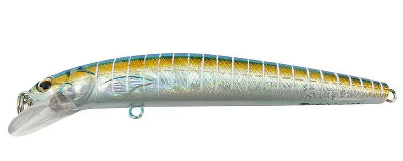 H-SAIL