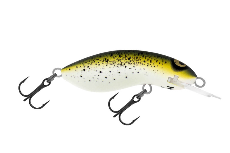 MUSTARD GRUNTER