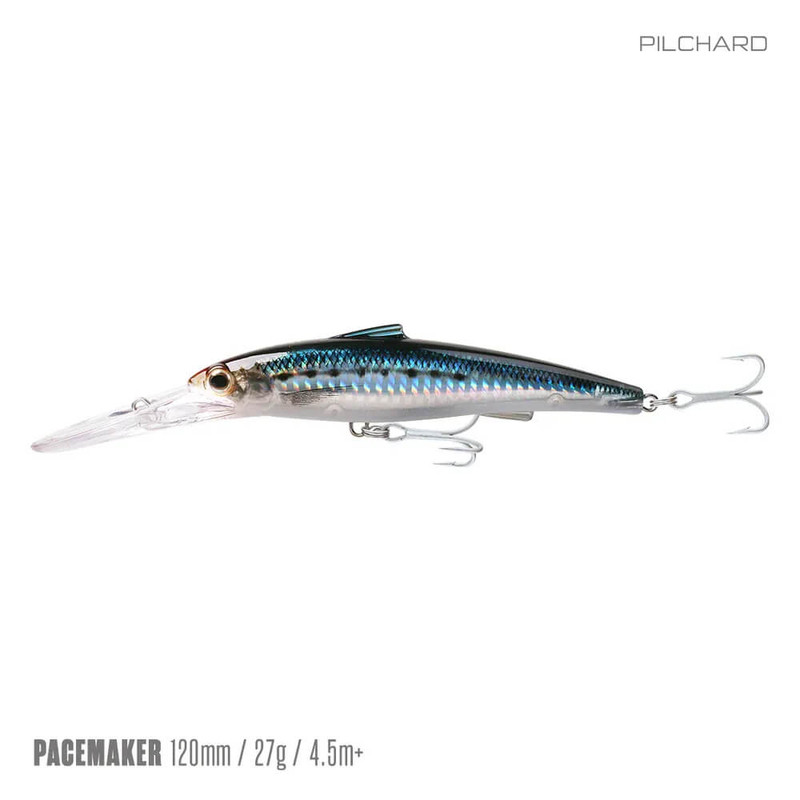 PILCHARD