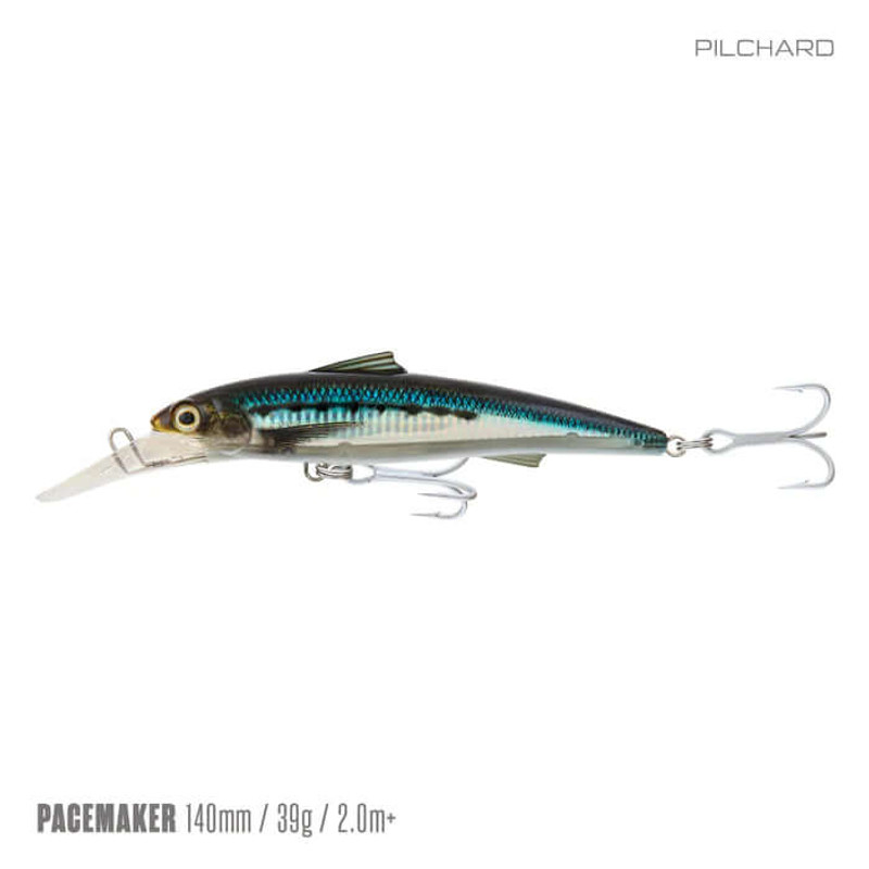 PILCHARD