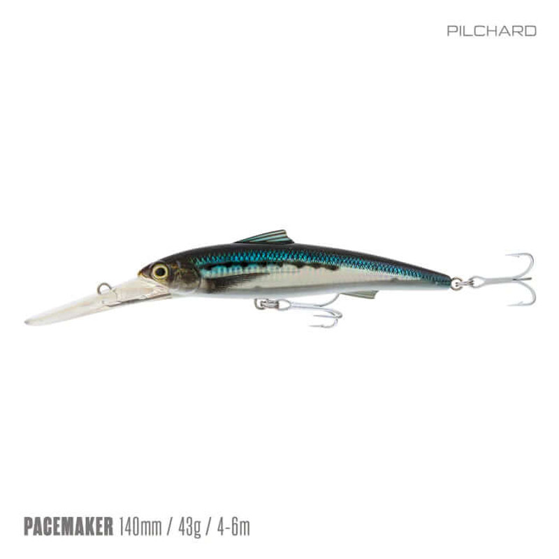 PILCHARD