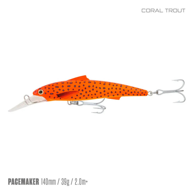 CORAL TROUT