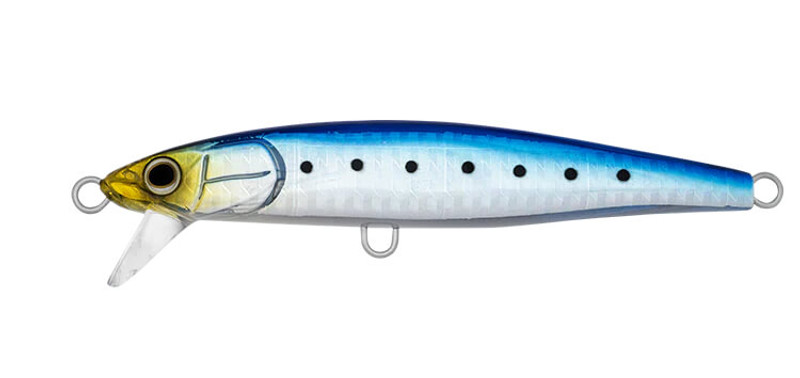 SARDINE