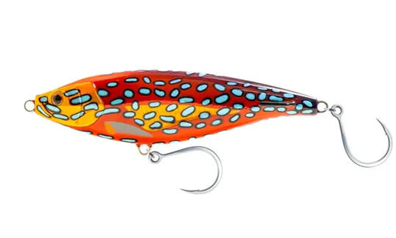 CORAL TROUT