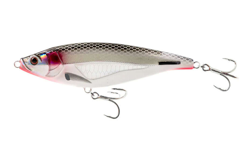 BLEEDING MULLET