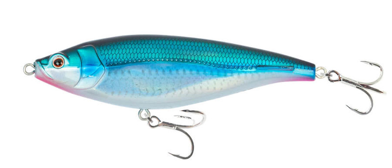 CANDY PILCHARD