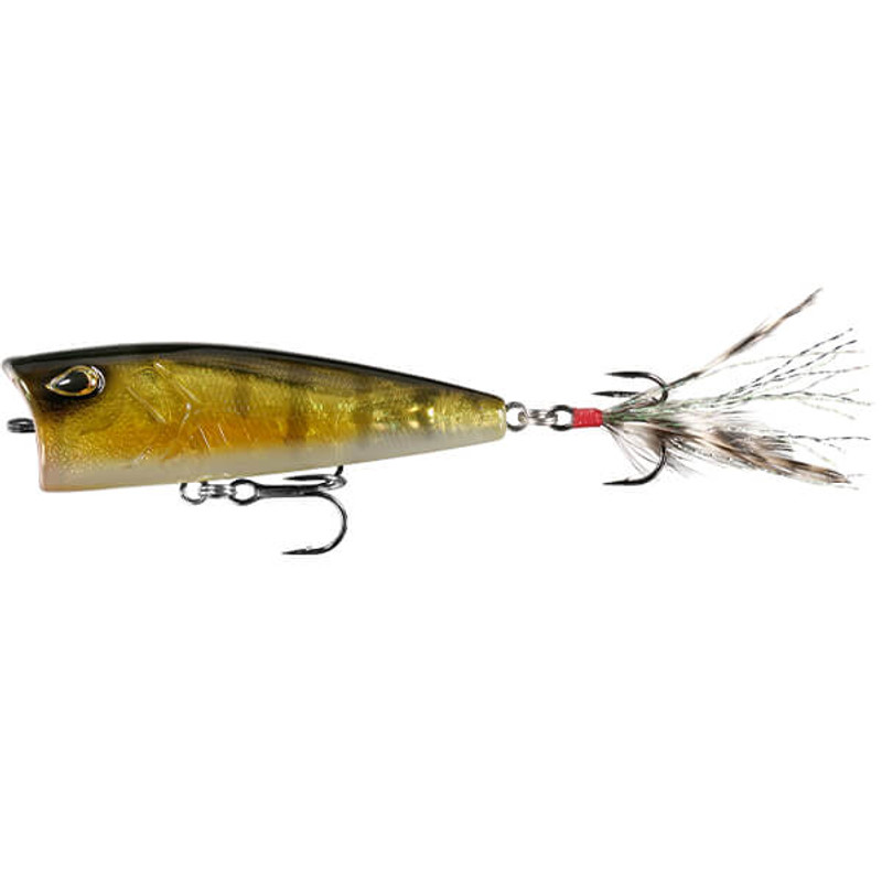 CLEAR PERCH